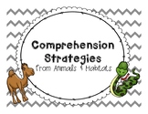 Comprehension Freebie