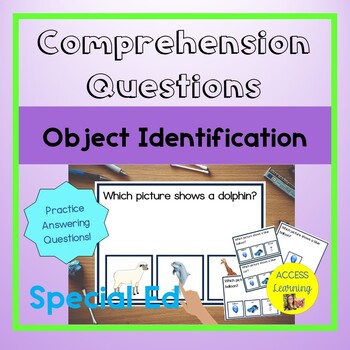 Preview of Comprehension Object Identification Questions Leveled Special Education