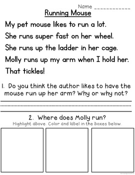 Prehension Practice For Beginning Readers "Pets" 1st