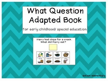 Preview of What Questions - Adapted Book for Special Education