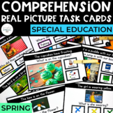 Comprehension Task Cards | Spring | Real Pictures | WH Que