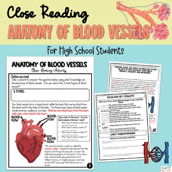 Preview of Comprehensive Close-Reading on Anatomy of Blood Vessels - Engage HS A&P Students