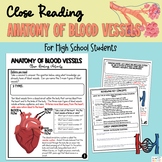 Comprehensive Close-Reading on Anatomy of Blood Vessels - 