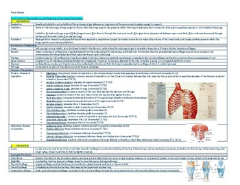 Preview of Comprehensive Speech Language Pathology Praxis Exam Study Guide