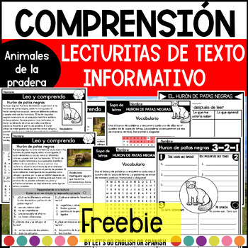 Preview of Comprensión de lectura  Spanish Reading Comprehension FREEBIE