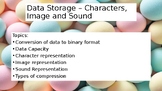 Computer Science-Data Storage–Characters, Image and Sound-