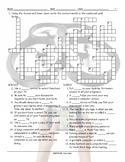 Computer Technology Crossword Puzzle