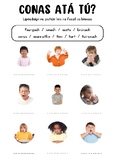 Conas atá tú? - Worksheet to practice 'feelings' - 'mothúc