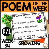 Poem of the Week GROWING UP K & 1st Grade Shared Reading P