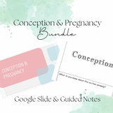 Conception & Pregnancy Bundle: Child Development