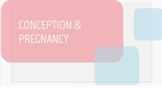 Conception and Pregnancy Google Slides: Child Development
