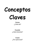 Conceptos Claves PYP IB  Español ( Key Concepts in Spanish )