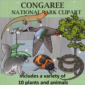 Preview of Congaree National Park Clip Art - Plants and Animals of the National Parks