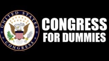 Preview of Congress for Dummies