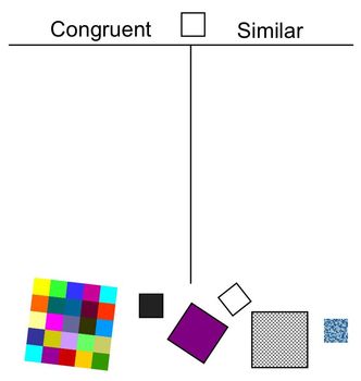 congruent shapes video