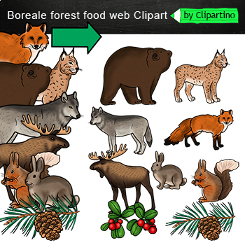 boreal forest animals list