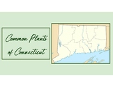 Connecticut Plants and Ecosystems