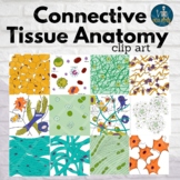 Connective Tissue Anatomy Clip Art