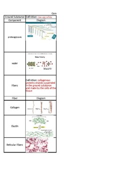 Preview of Connective Tissue Parts Visual Organizer