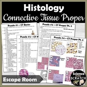 Preview of Connective Tissue Proper Escape Room Activity | Histology Unit | Anatomy