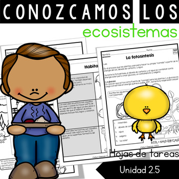 Preview of Conozcamos los ecosistemas | Hojas de tareas