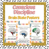 Conscious Discipline | Brain State Posters | Classroom Man