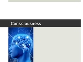 Consciousness and Sleep