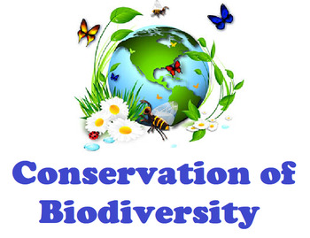 Conservation of Biodiversity DETAILED LESSON PLAN Ecology Unit | TpT