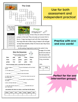 First Grade Decodable Passages with Consonant Blends | Comprehension ...