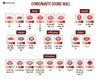 Preview of Consonant Sound Wall with visuals!