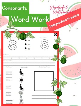 Preview of Consonants Word Work