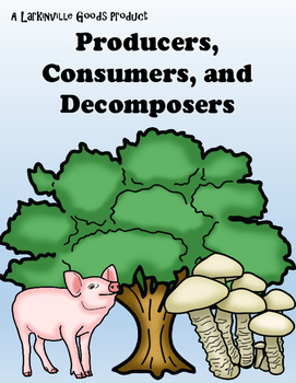 Preview of Consumer, Producer, Decomposer