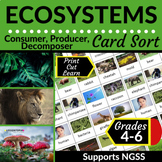 Consumer Producer Decomposer | Ecosystems | Card Sort