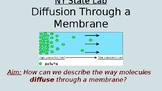 Content Driven Diffusion Through a Membrane State Lab