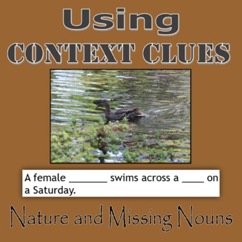 Preview of Context Clues PowerPoint - Nature and Missing Nouns