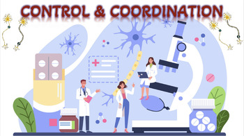 Preview of Control And Coordination|Nervous System|Central & Peripheral Nervous System