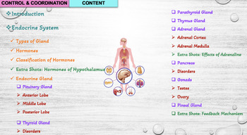 Preview of Control & Coordination|Endocrine System|Endocrine Gland