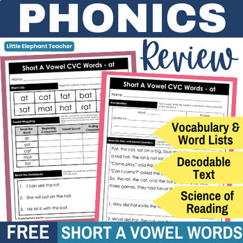 Preview of Decodable Passages Reading Comprehension Questions - CVC Words Phonics Review