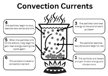 Preview of Convection Currents graphic organiser