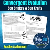 Convergent Evolution | Reading | Marine Biology | Sea Snak