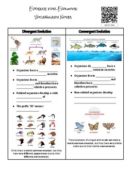 Preview of Convergent vs. Divergent & Structures Guided Notes with Youtube Video & Slides