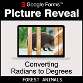 Converting Radians to Degrees - Google Forms Math Game | D