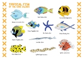 Cook Islands Tropical Fish Poster