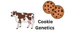 Cookie Genetics