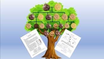 Preview of Cookie Genetics Lab