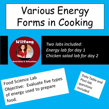 Preview of Cooking with different Energy Sources Lab