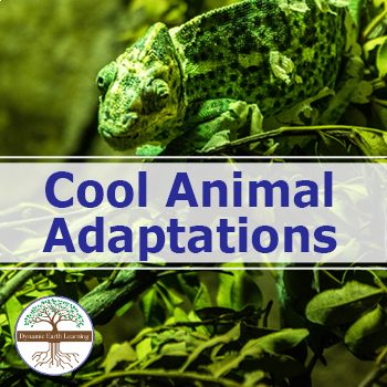 Cool Animal Adaptations - Earth Science Worksheet (Google or Print)