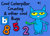 Cool Caterpillar Counting and other Cool Bugs (Boom Cards)