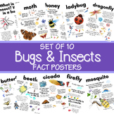 Cool Facts About Bugs: Printable Bug Fact Poster Set