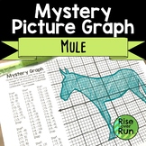 Coordinate Graph Picture Freebie